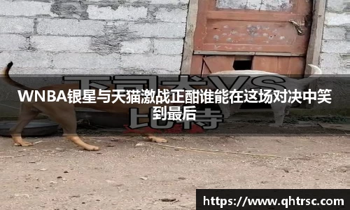 WNBA银星与天猫激战正酣谁能在这场对决中笑到最后